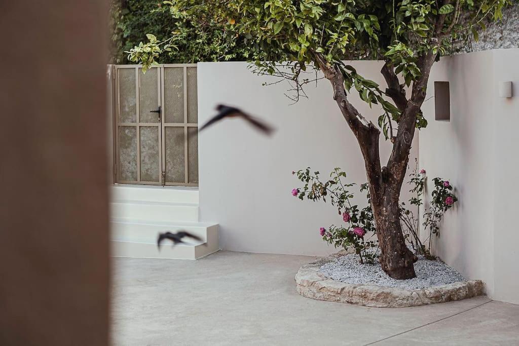 Lotusland, A Relaxing House At Amari Rethymno Villa Agia Fotini  Buitenkant foto